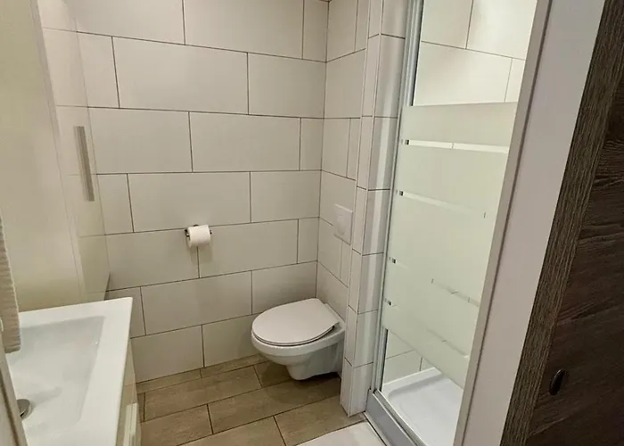 Coin Nature 岩尼维利